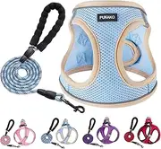 PUKAKO Puppy Harness and Leash Set, Small Dog Harness and Leash Set, Step in Small Size Harness with Soft Mesh and Reflective Bands for Extra-Small/Small Dogs, Blue， M