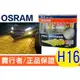 OSRAM 歐司朗 2600K FOG BREAKER 霧行者 終極黃金 超黃光 超級黃金燈泡 H16 19W