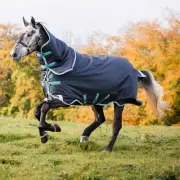 Amigo Bravo 12 Plus Medium Weight Turnout