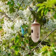 Humming Bird Houses Wooden Hummingbird Nest for Outdoor Home Decoration