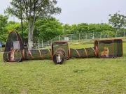 Portable Cat Playpen Outdoor Enclosures - Folding Play Tent Tunnel Cube Compo...