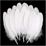 THARAHT 120pcs White Goose Feathers Natural bulk 6-8 inch 15-20cm for Crafts DIY Cosplay Wedding Party Halloween Decoration Goose Nagoire Feathers