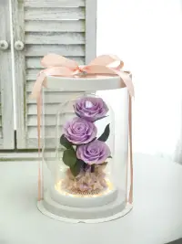 在飛比找友和YOHO優惠-3朵玫瑰保鮮花 (永生花) 玻璃燈座 禮盒裝 - 紫色