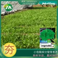 在飛比找蝦皮購物優惠-大葉空心菜種籽四季播種蕹菜種子青梗蔬菜種孑陽臺盆栽田園抗熱籽