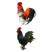 Rooster Simulation Model Animal Realistic Outdoor Decor for Store Patio Farm