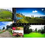 Save 25.00%! Day tour to Nuware Eliya (Littel England) From Kandy
