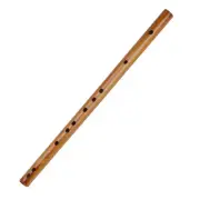 Kids Flute Instrument Dizi Bitter Flute Soprano Descant Recorder