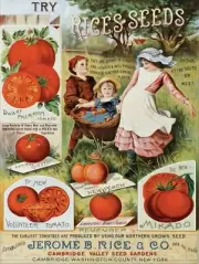 Rice's Seeds of Cambridge, NY NEW Metal Sign: LARGE SIZE 12x16 - Free Shipping
