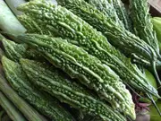 BITTER MELON / BITTER GOURD / BALSAM PEAR / KARELA - 'Long' seeds