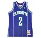 Charlotte Hornets 1994-95 Larry Johnson 2 Hardwood Classics Swingman Alternat...