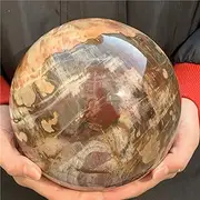 Natural Petrified Wood Sphere Fossil Agate Quartz Crystal Ball,700-750g