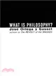 What Is Philosophy?