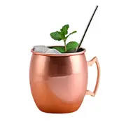 Stainless Steel Moscow Mule Mugs 550ml Copper Plated Cups-Glossy