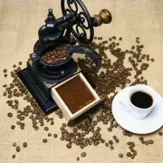 Wood Vintage Coffee Bean Grinder Mill Windmill Manual Hand Crank Elegant Hard...