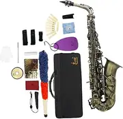 TTETTZ Portable Alto Saxophone Package with Storage Case for Stage Use, bronze