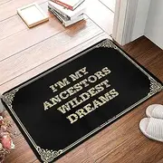 Doormat Rug I'm My Ancestors Wildest Dreams Doormat Entry Mats Indoor Home Spring Outdoor Mat (Color : Colour, Size : 40X60CM)