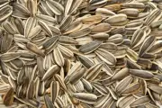 Organic Sunflower Roasted Seeds Salted / Unsalted Healthy Natural Vegan Snack