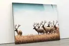 Deer Herd on Dry Grass Field Photograph Acrylic Glass Print Tempered Glass Wall