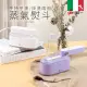 【義大利Giaretti 珈樂堤】手持平燙/掛燙兩用蒸氣熨斗(GT-FS890)