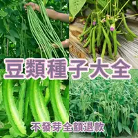 在飛比找蝦皮購物優惠-【豆類種子大全】高產多款豆種子 荷蘭豆種子 四季豆 豌豆 長