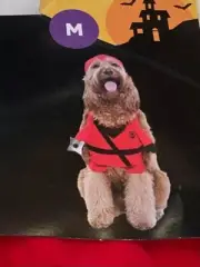Vibrant Life Ninja Dog Halloween Costume Size Medium / Beagle, Standard Poodle
