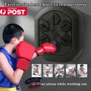 Smart Boxing Wall Target Music Boxing Training Wall Mount Fight Equipment+Glove