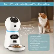 Digital automatic pet feeder. Smart food dispenser cat and dog