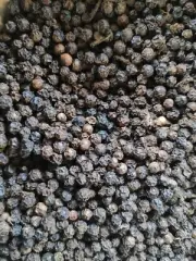 Ceylon Black Pepper Whole Peppercorns organic Spices Natural Free Shipping