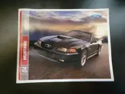 2004 mustang AD / ARTICLE
