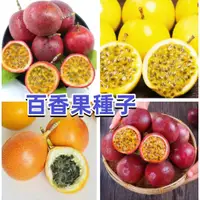 在飛比找蝦皮購物優惠-🔥🔥【蝦皮熱銷】百香果種子四季水果 台灣滿天星 黃金百香果種