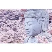 Save 30.00%! Nara: Discover a Giant Stone Buddha in the Forest Hills