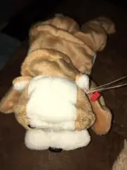 RARE TY RETIRED BEANIE BABY WRINKLES 1996 NWT TAG ERRORS