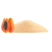 Papaya Fruit Powder Bulk buy Discounted Price