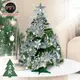 摩達客耶誕-2尺/2呎(60cm)特仕幸福型裝飾綠色聖誕樹 (銀白冬雪系全套飾品)超值組不含燈/本島免運費