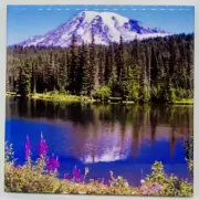 Mount Rainier Washington Ceramic Tile Trivet Coaster Travel Souvenir 4" x 4"