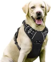 Dog Harness, No Pull Dog Harness and Lead Set for Small Medium Large Dogs No Choke Reflective Dog Harness with Front Clip Adjustable Soft Padded with (Black, Medium)