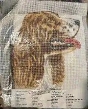 English Springer Spaniel Canvas Kit Without Frame