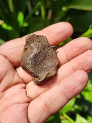 Gebel Kamil Meteorite . Iron Rock . Meteorite Rock . 309.85 Carat