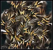 50 Yellow Pheasant Body Feathers From Ringneck Rooster Pheasants