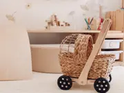Q Toys Water Hyacinth Doll Pram walker and play set