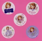 15 Disney Princess Sofia the First Patient - Large Stickers - Rewards - Medical