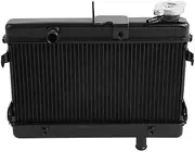 Rynplex Motorcycle Engine Radiator Cooling Cooler, for Rebel 300 CMX300 2017-2021 Motorcycle Engine Radiator