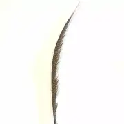 Golden Pheasant Centre Tail Feather x 10 pcs - Pink ((BULK PACK))