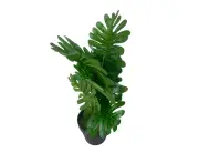 Artificial Tropical Fern 38cm - B