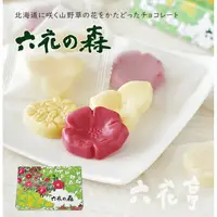 在飛比找蝦皮購物優惠-[10天寄出]日本六花亭送禮巧克力(六花之森12入)