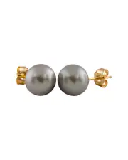 Splendid Pearls 14K 7-7.5mm Pearl Studs