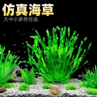 在飛比找蝦皮商城優惠-魚缸後景水草 仿真水草 水族箱裝飾 植物花草 假水草 水族造