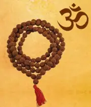 100% Pure Lab Certified Sidhha 5 Mukhi Rudraksha Mala 108+1 Beads