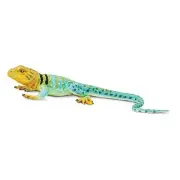 Collared Lizard Figurine - Realistic 7.25" Reptile Figure - Educational Toy