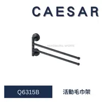 在飛比找蝦皮購物優惠-caesar 凱撒衛浴 Q6315B 304不鏽鋼活動毛巾架